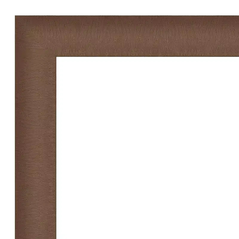 23" x 29" Brushed Bronze Framed Wall Mirror – Rectangle, Modern Style