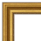 41.75" x 29.75" Framed Rectangle Wall Mirror with Gold Ornate Frame